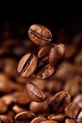 Phân biệt hạt cafe các loại