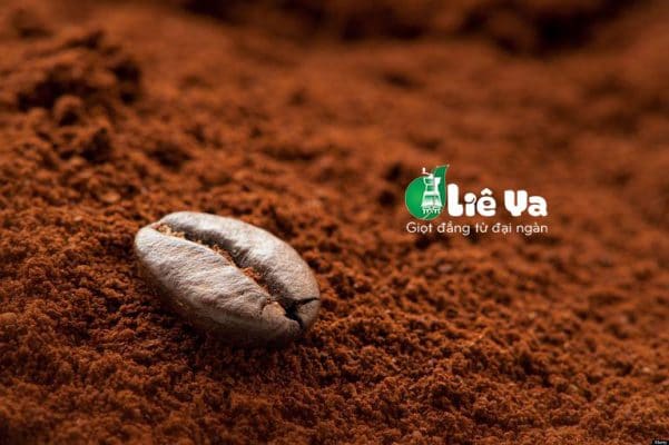 cà phê bột loại nào ngon