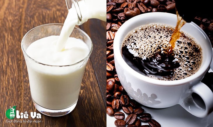 cách làm cafe sữa tươi