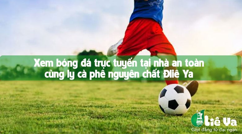 Xem bóng đá trực tuyến